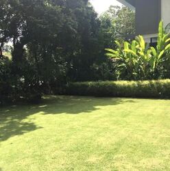 Jalan Kampong Chantek (D21), Detached #625946521